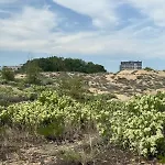 דירה Sunny View Cacao סאני ביץ'