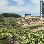 Sunny View Cacao דירה סאני ביץ'