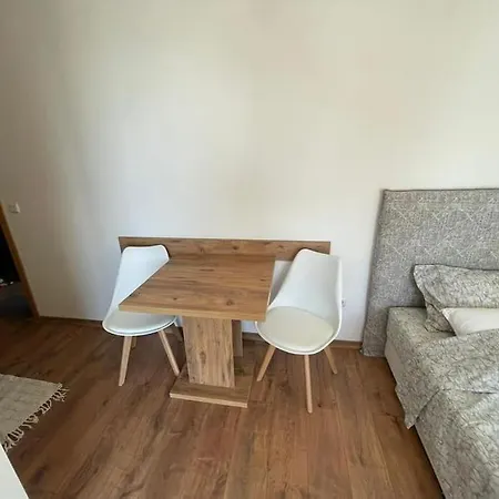 Sunny View Cacao Daire