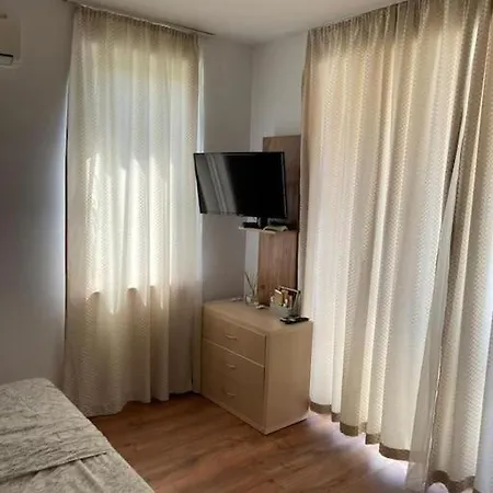 Sunny View Cacao Daire *