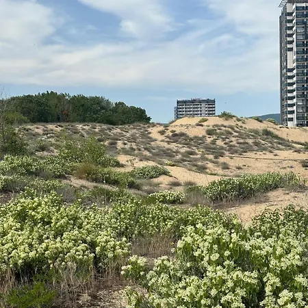 Sunny View Cacao Apartment Sunny Beach