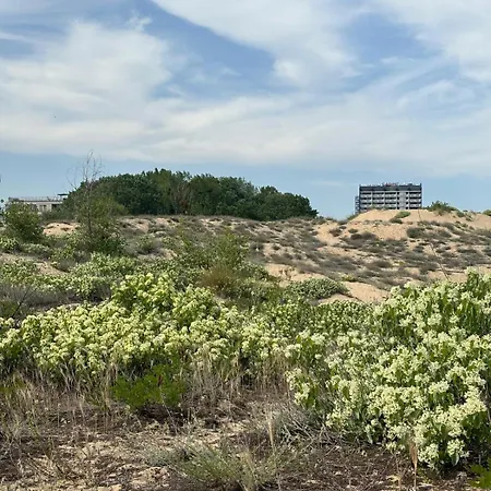 شقة Sunny View Cacao ساني بيتش