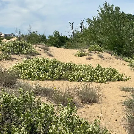 Sunny View Cacao ساني بيتش